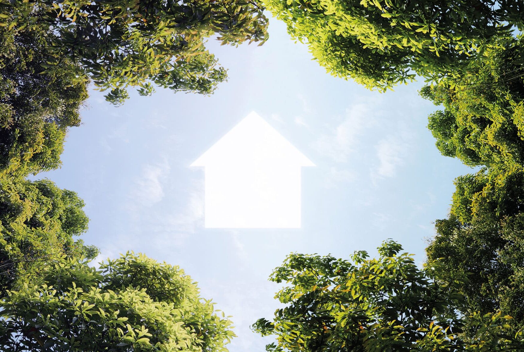 arbre sur les côtés et picto maison au milieu