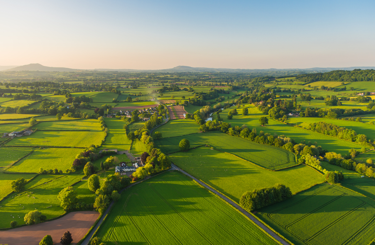 vue panoramique terrains 