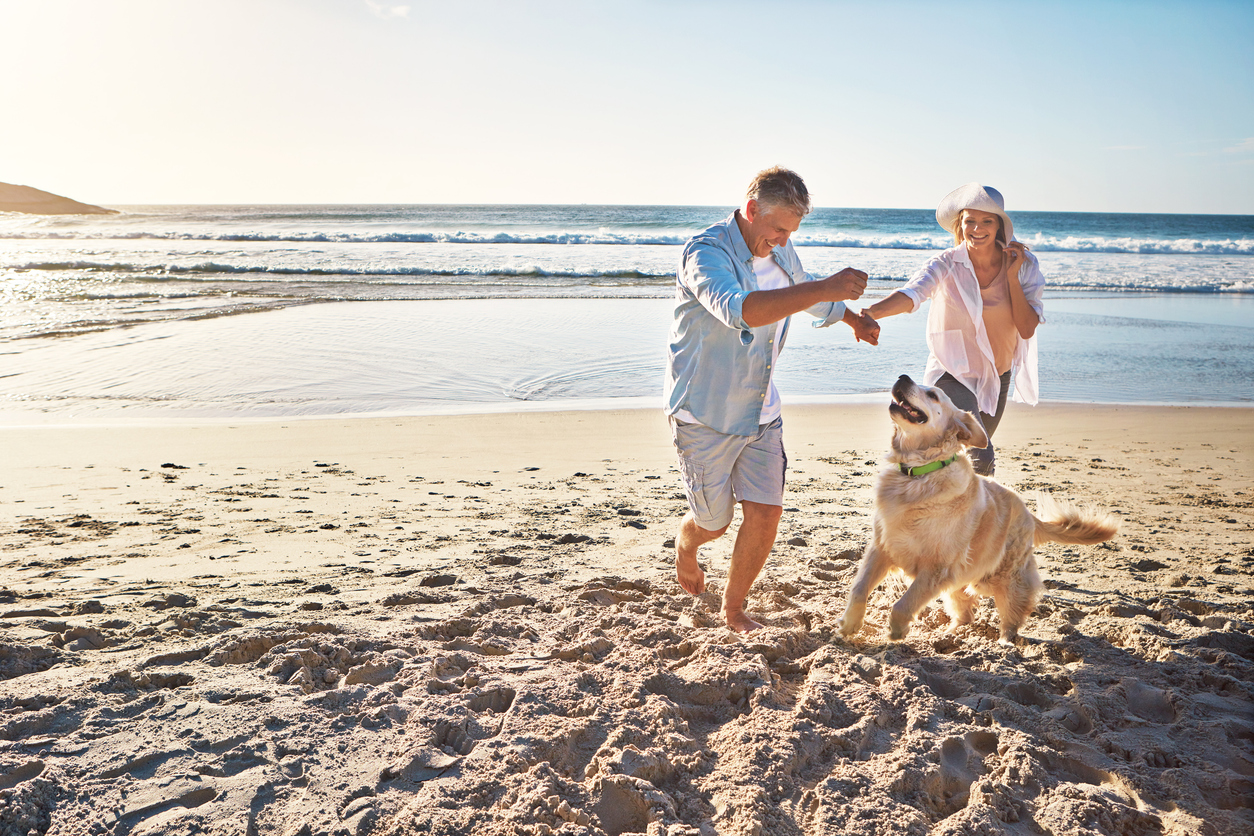 homme femme chien jouant sur la plage